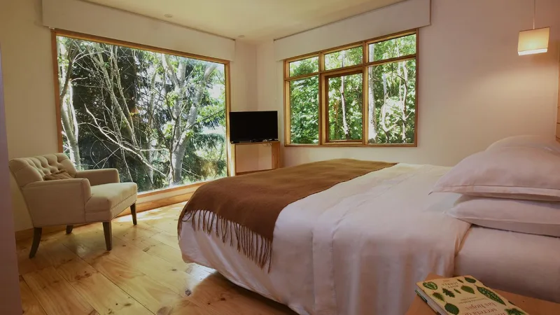 Raices Bed And Breakfast