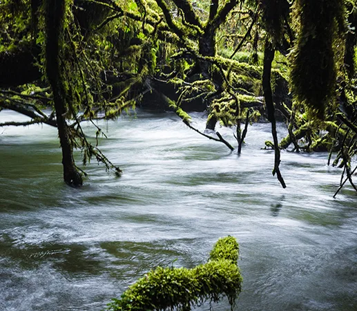 Queulat National Park