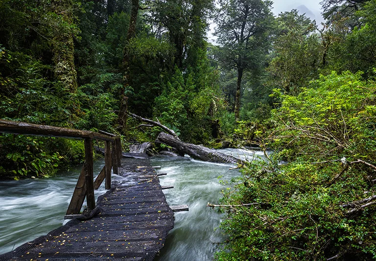 Parque Nacional Queulat, encanto natural