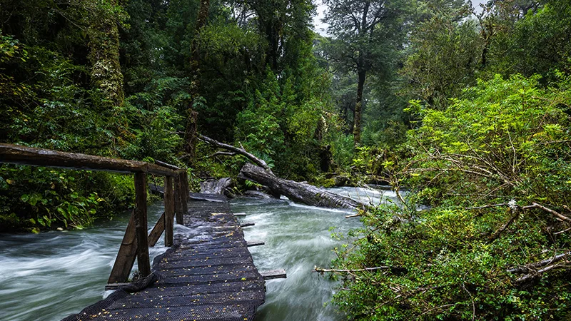 Queulat National Park