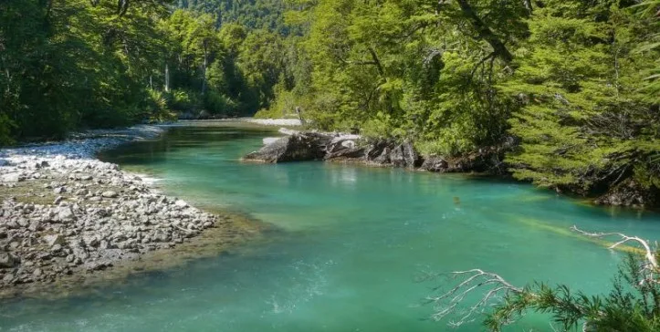 Cisne River