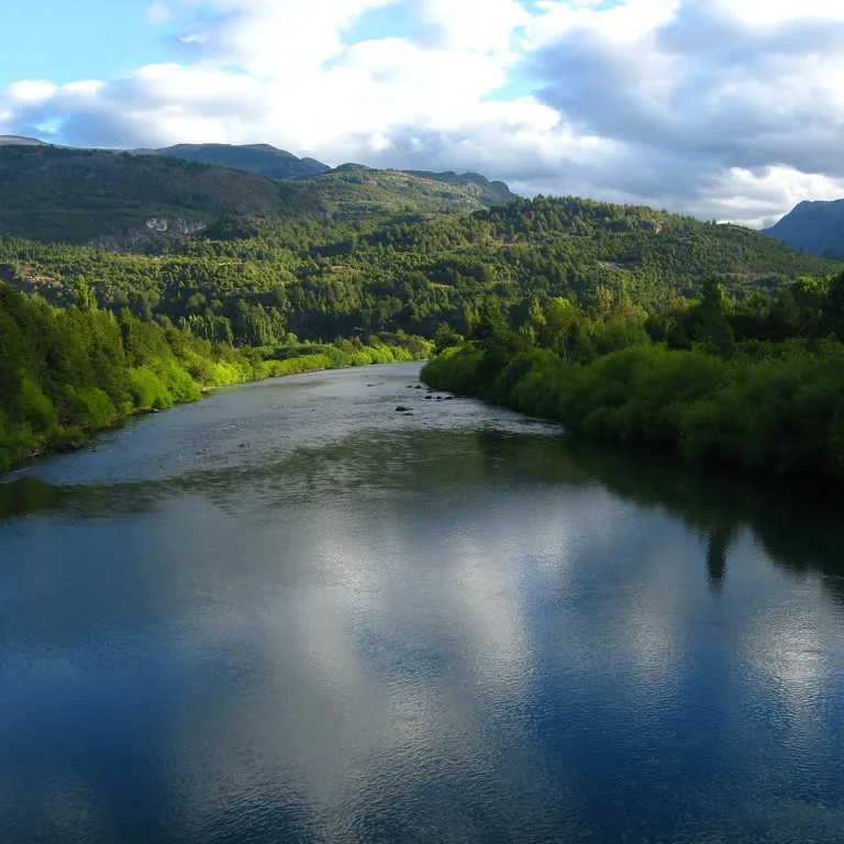 Río Palena