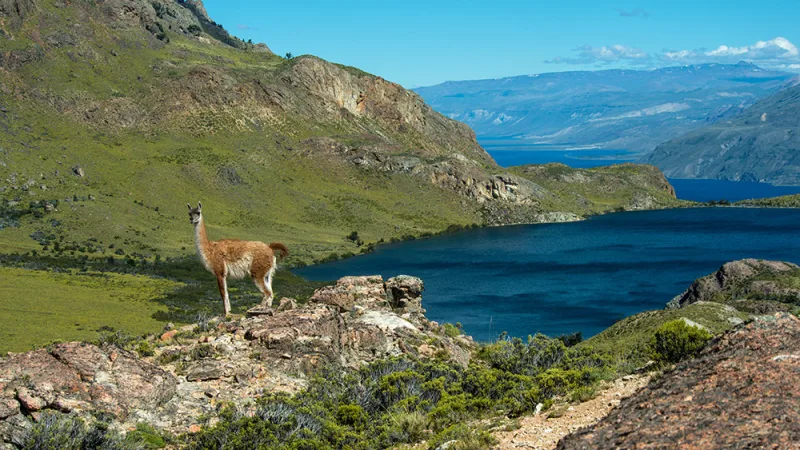Parque Nacional Patagonia