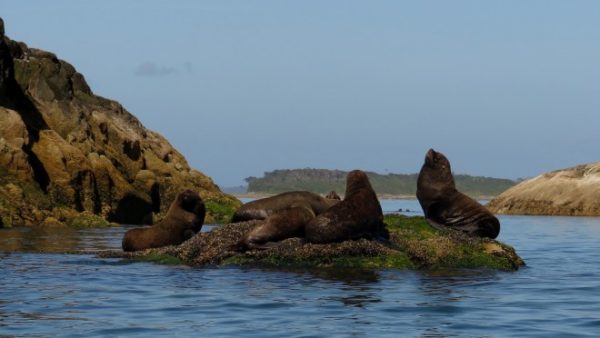 Magdalena Island National Park