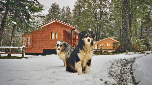 El Pangue Lodge