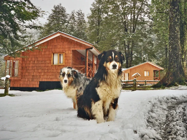 El Pangue Lodge